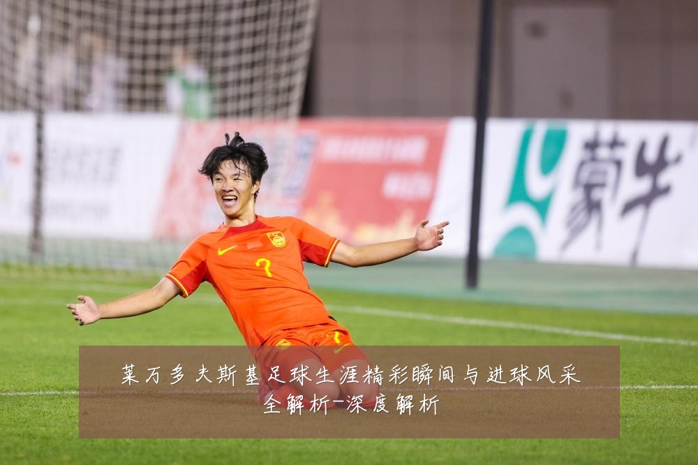 莱万多夫斯基足球生涯精彩瞬间与进球风采全解析-深度解析