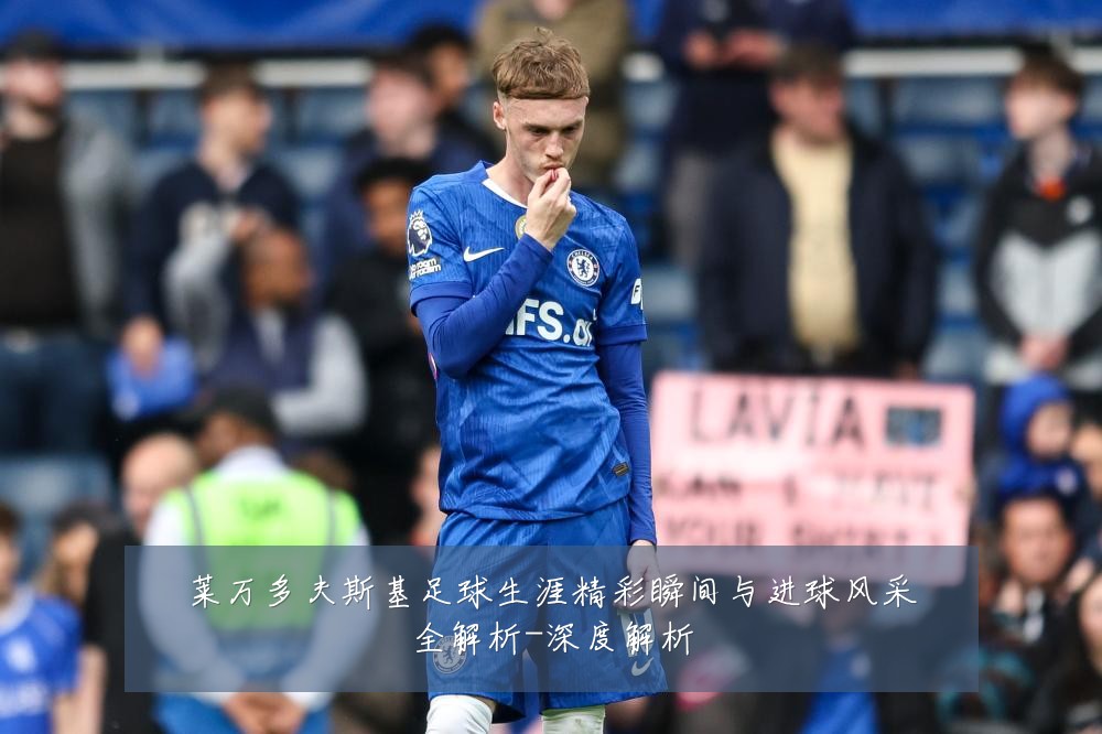 莱万多夫斯基足球生涯精彩瞬间与进球风采全解析-深度解析